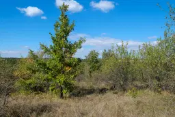 45.863 m² bosgrond in Brankovtsi, Vidin - Bulgarije