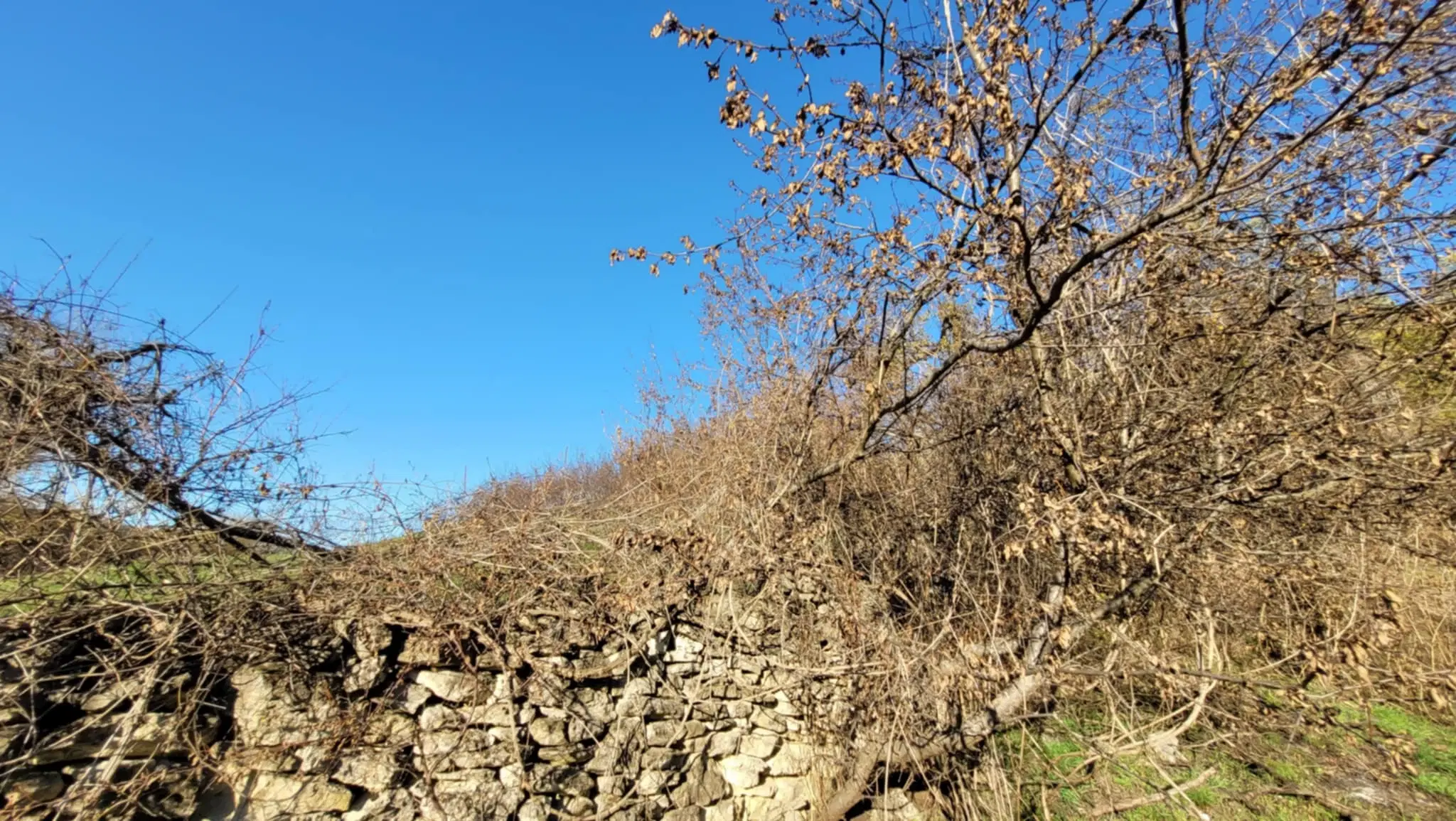 Huis met een perceel van 3.995 m² en extra gebouwen in Kosta Perchevo - Bulgarije