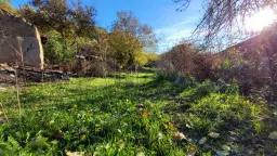 Huis met een perceel van 3.995 m² en extra gebouwen in Kosta Perchevo - Bulgarije