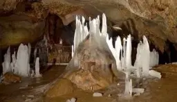 113.324 m² loofbos in Gorno Ozirovo, Varshets Montana - Bulgarije