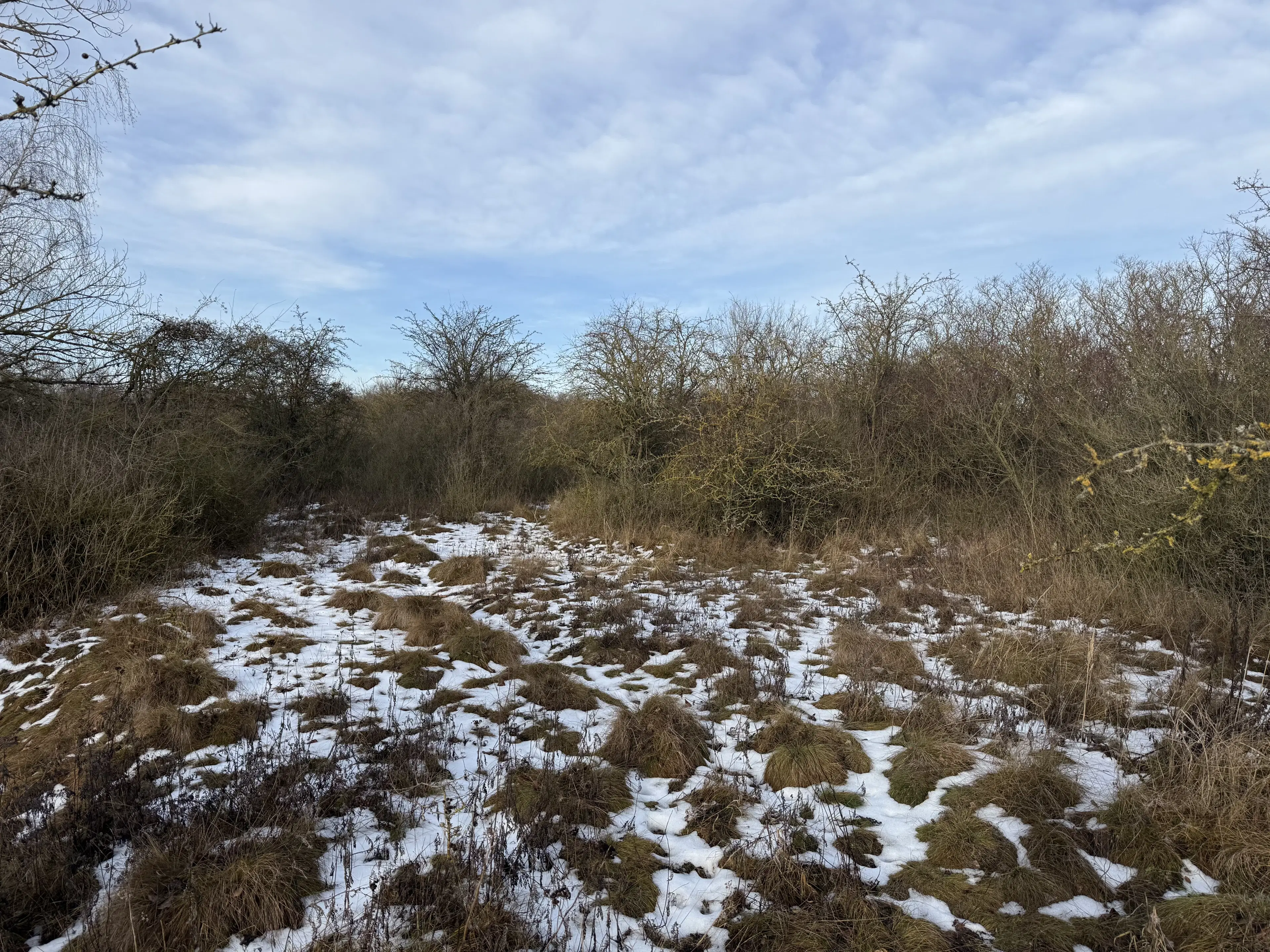 115 m² eigendomsperceel, gedeeltelijke bunker in Staßfurt - Duitsland