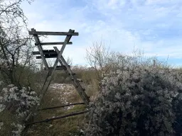115 m² eigendomsperceel, gedeeltelijke bunker in Staßfurt - Duitsland
