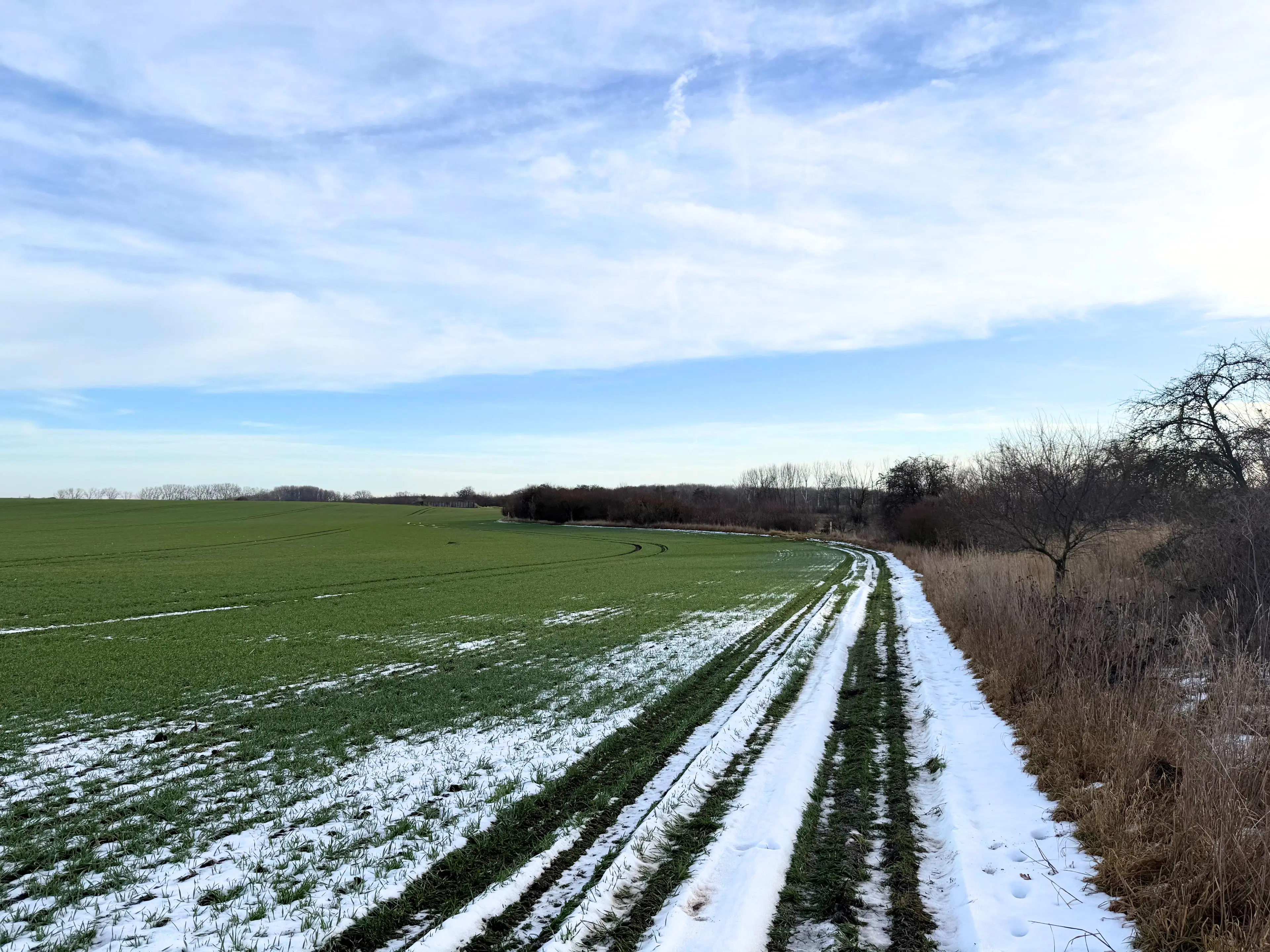 115 m² eigendomsperceel, gedeeltelijke bunker in Staßfurt - Duitsland