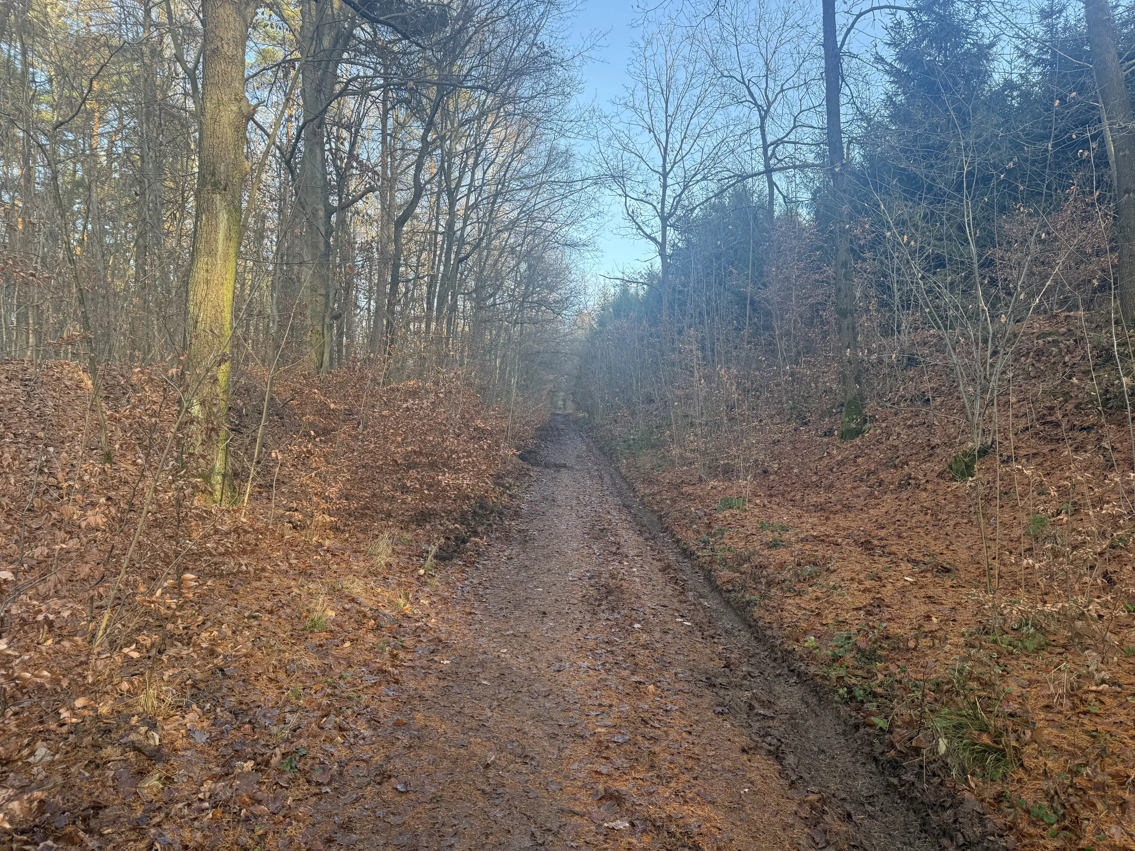 Bootcampbaan van 2.460 m² in Lichtenstein - Duitsland