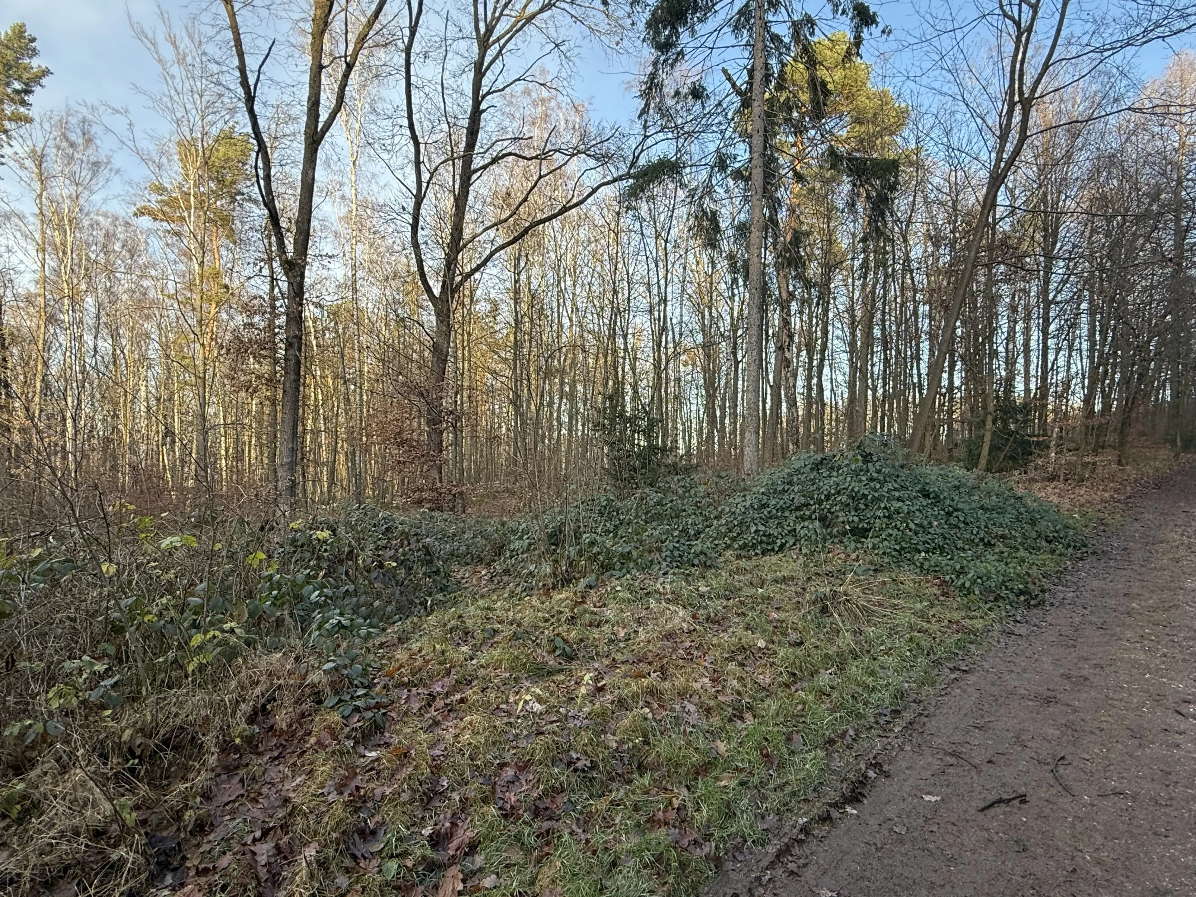 Bootcampbaan van 2.460 m² in Lichtenstein - Duitsland