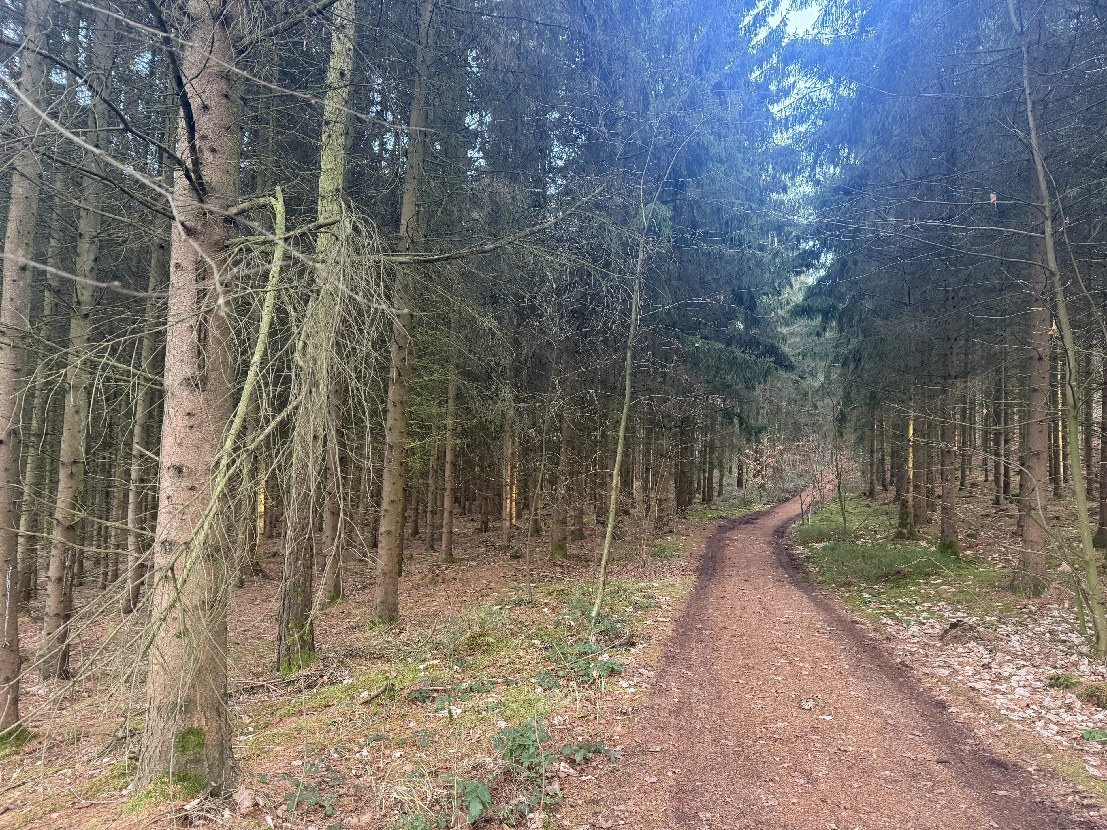 Bootcampbaan van 2.460 m² in Lichtenstein - Duitsland