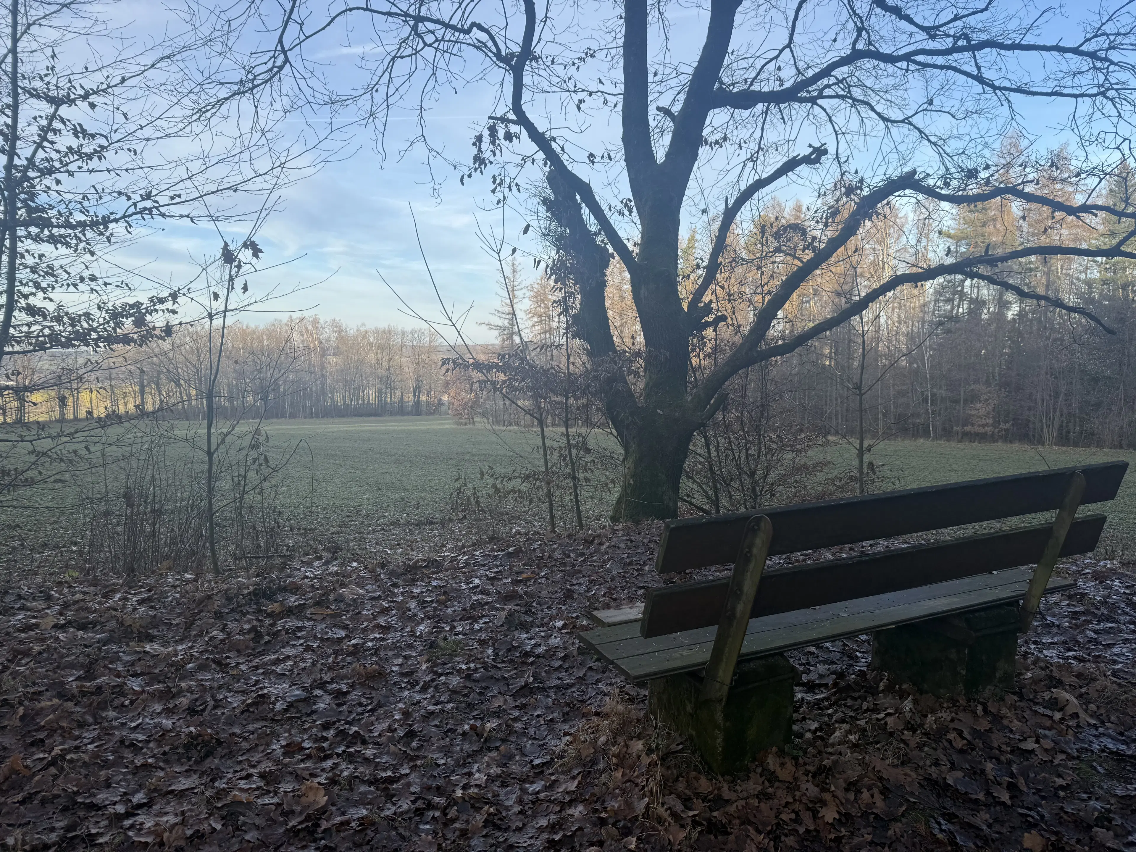 Bootcampbaan van 2.460 m² in Lichtenstein - Duitsland