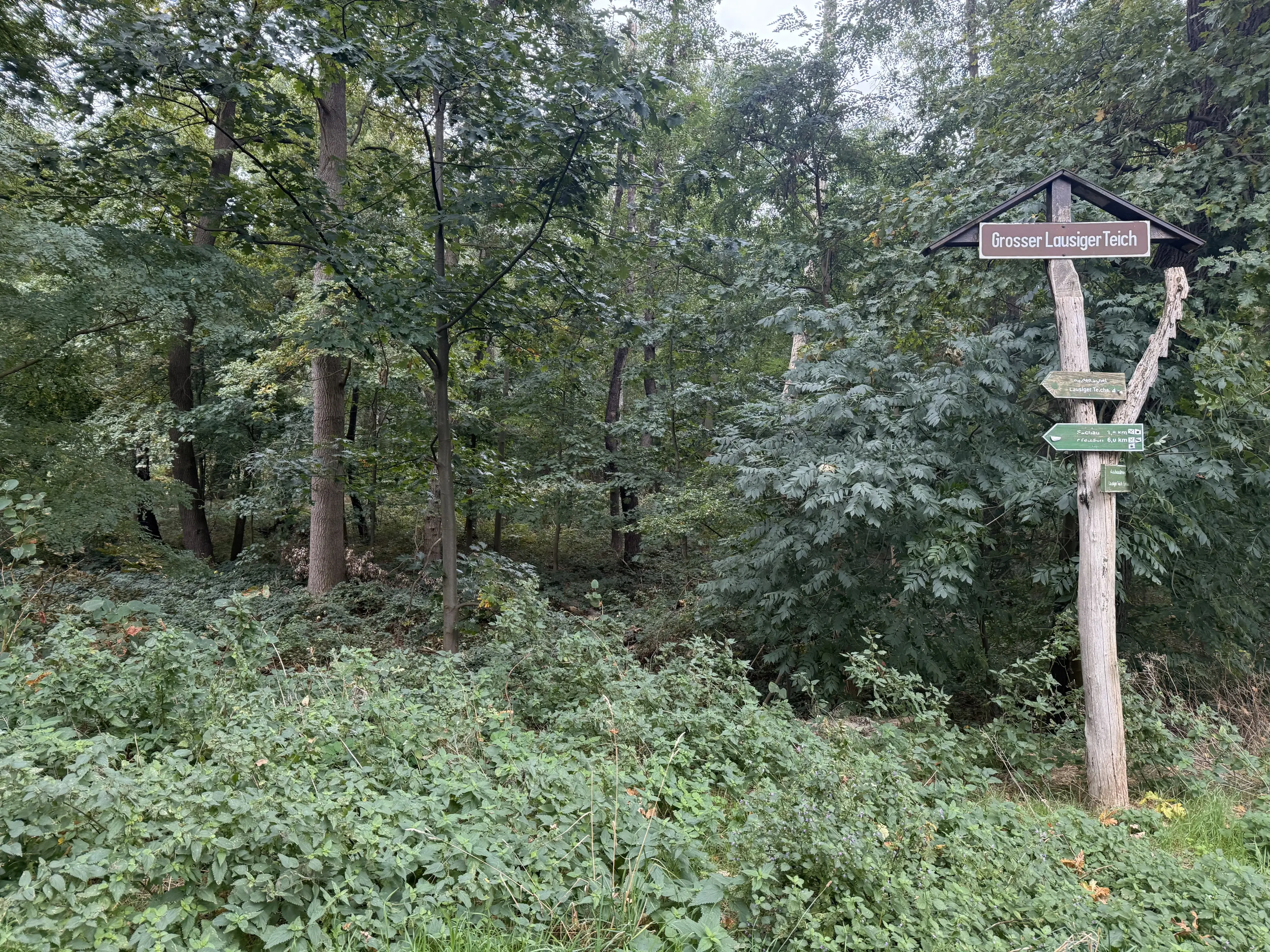 Perceel van 1.6 ha bij het water nabij Bad Schmiedeberg - Duitsland