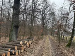 Eigendomsperceel van 8.022 m² midden in de natuur nabij de Elbe, Pertzsch - Duitsland
