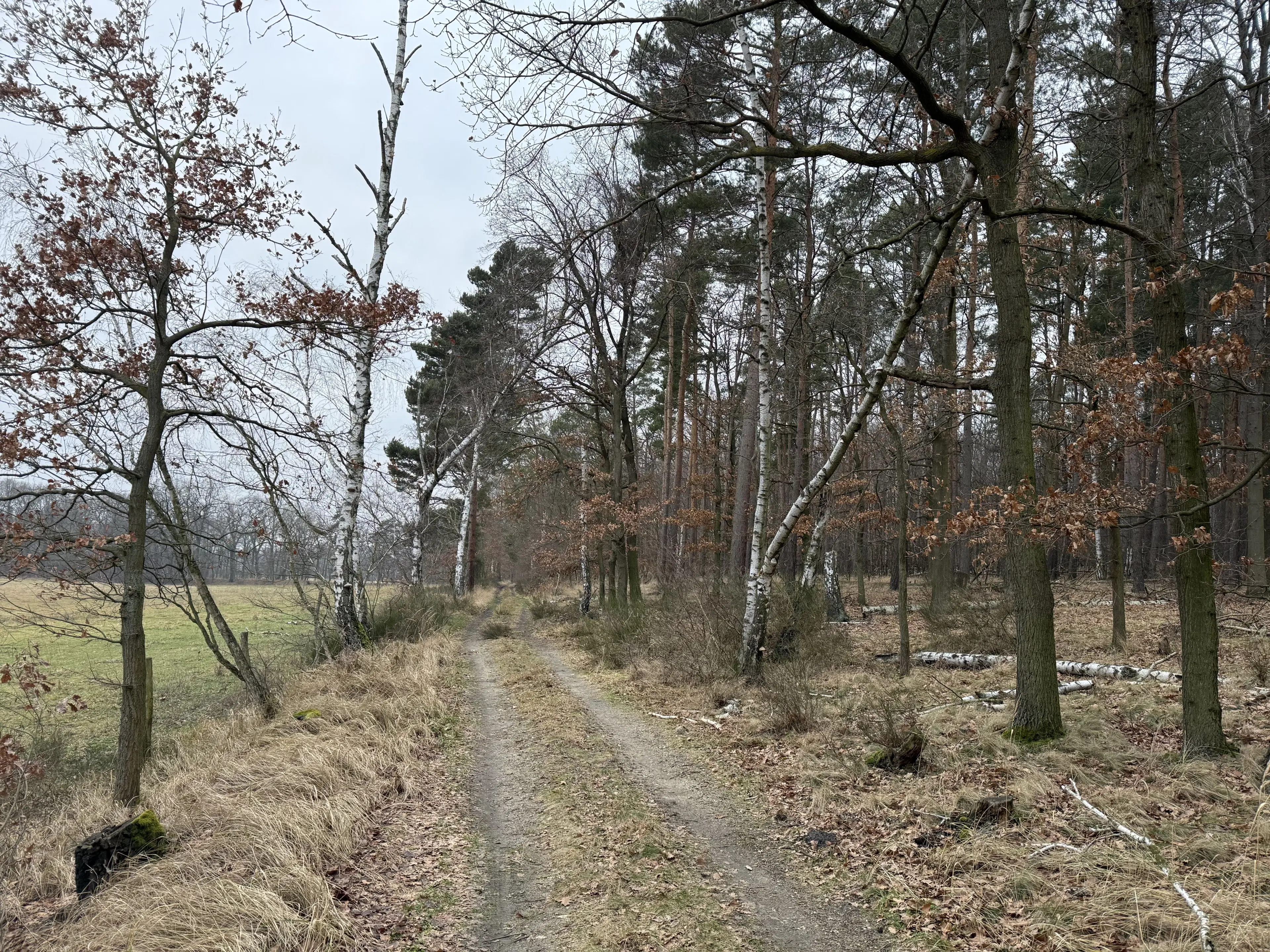 Eigendomsperceel van 8.022 m² midden in de natuur nabij de Elbe, Pertzsch - Duitsland