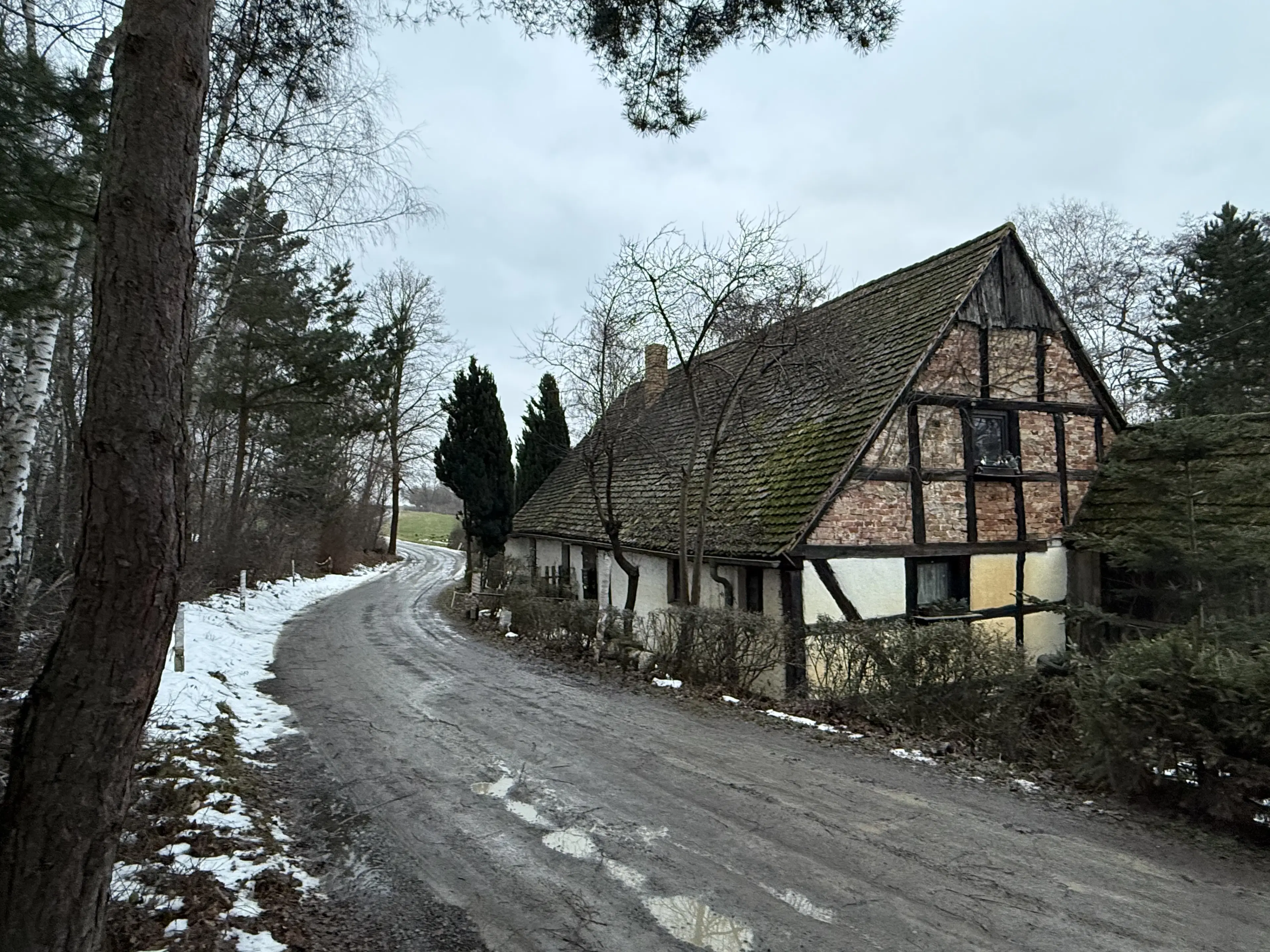 Eigendomsperceel van 8.022 m² midden in de natuur nabij de Elbe, Pertzsch - Duitsland