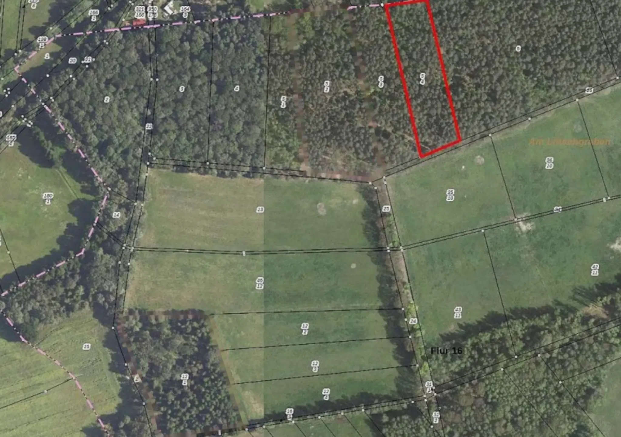 Eigendomsperceel van 8.022 m² midden in de natuur nabij de Elbe, Pertzsch - Duitsland