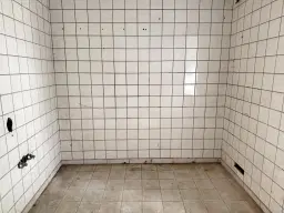 Ruim woon- en werkhuis op perceel van 690 m² in Ritteburg, Halle, Leipzig - Duitsland