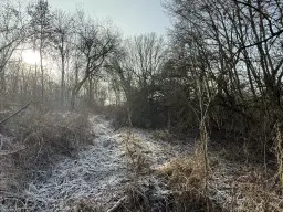 Eigendomsperceel van 1.022 m² in de regio Döbeln - Duitsland