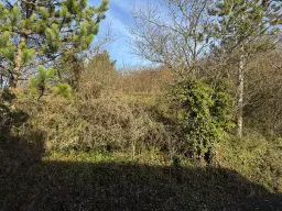 Bouwperceel van 1.025 m² in Boxberg, Wölchingen - Duitsland