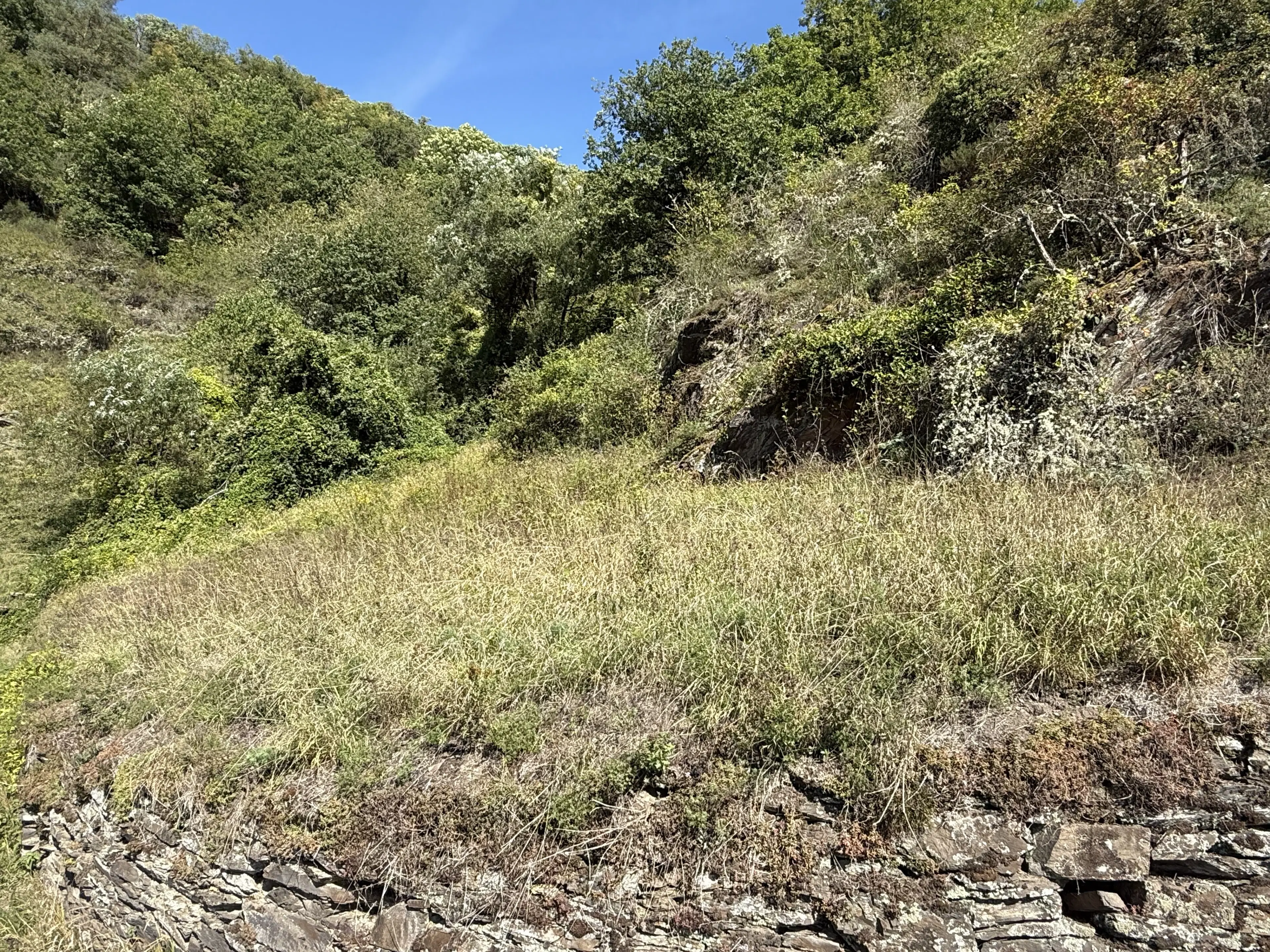 Perceel van 726 m² naast Centrum Cochem - Duitsland