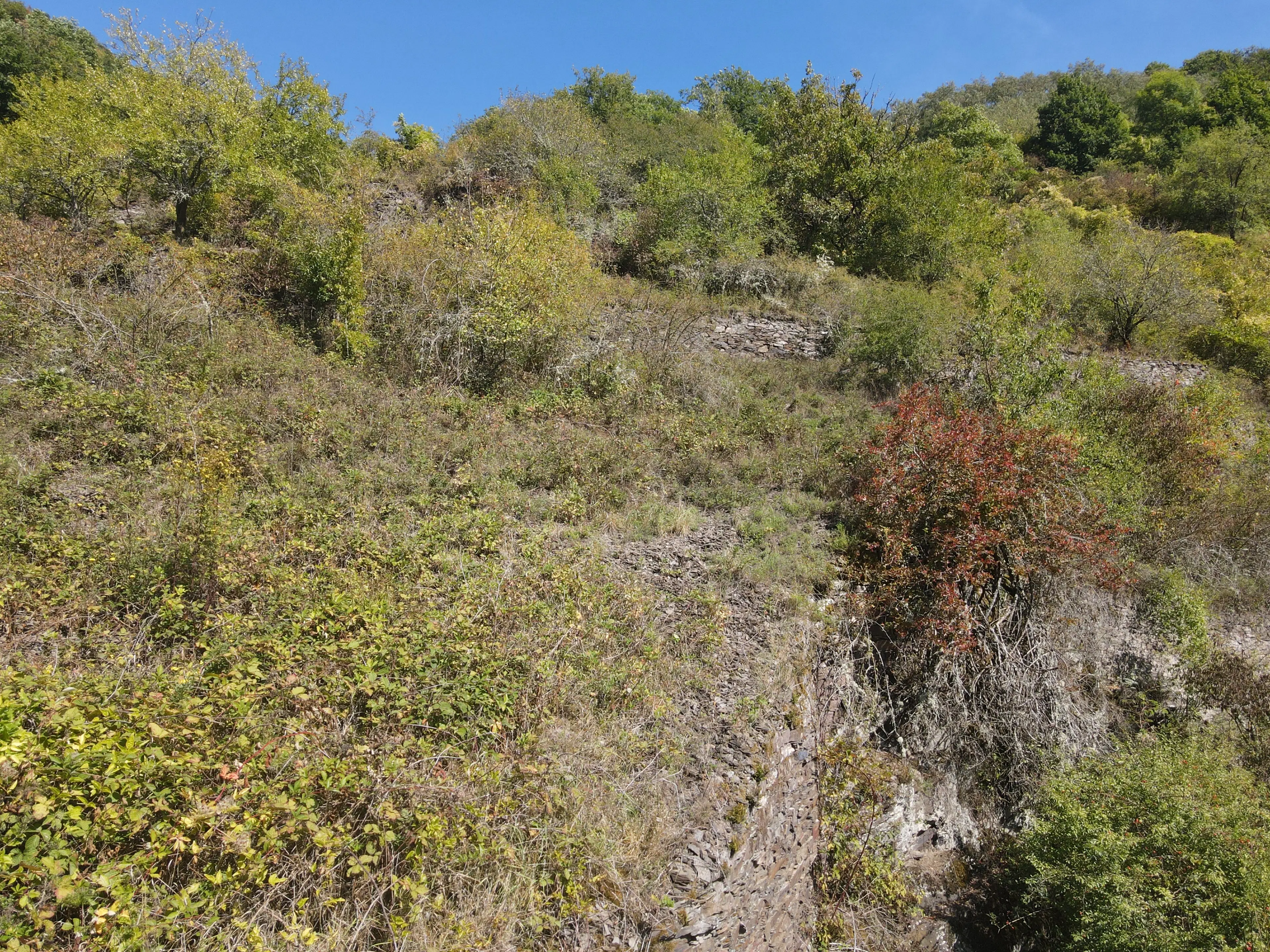 Perceel van 726 m² naast Centrum Cochem - Duitsland