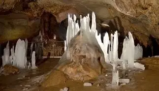 113.324 m² loofbos in Gorno Ozirovo, Varshets Montana - Bulgarije