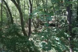 113.324 m² loofbos in Gorno Ozirovo, Varshets Montana - Bulgarije