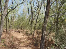 113.324 m² loofbos in Gorno Ozirovo, Varshets Montana - Bulgarije