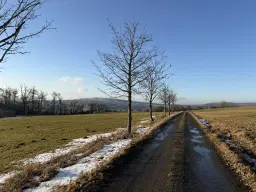 Agrarisch terrein met voormalige melkstal op perceel van 1.878m² bij Meiningen, Kassel, Duitsland
