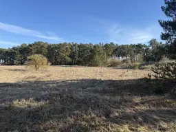 Terrein van ca. 1,75 ha naast natuurcamping Ragösen - Fläming - Duitsland