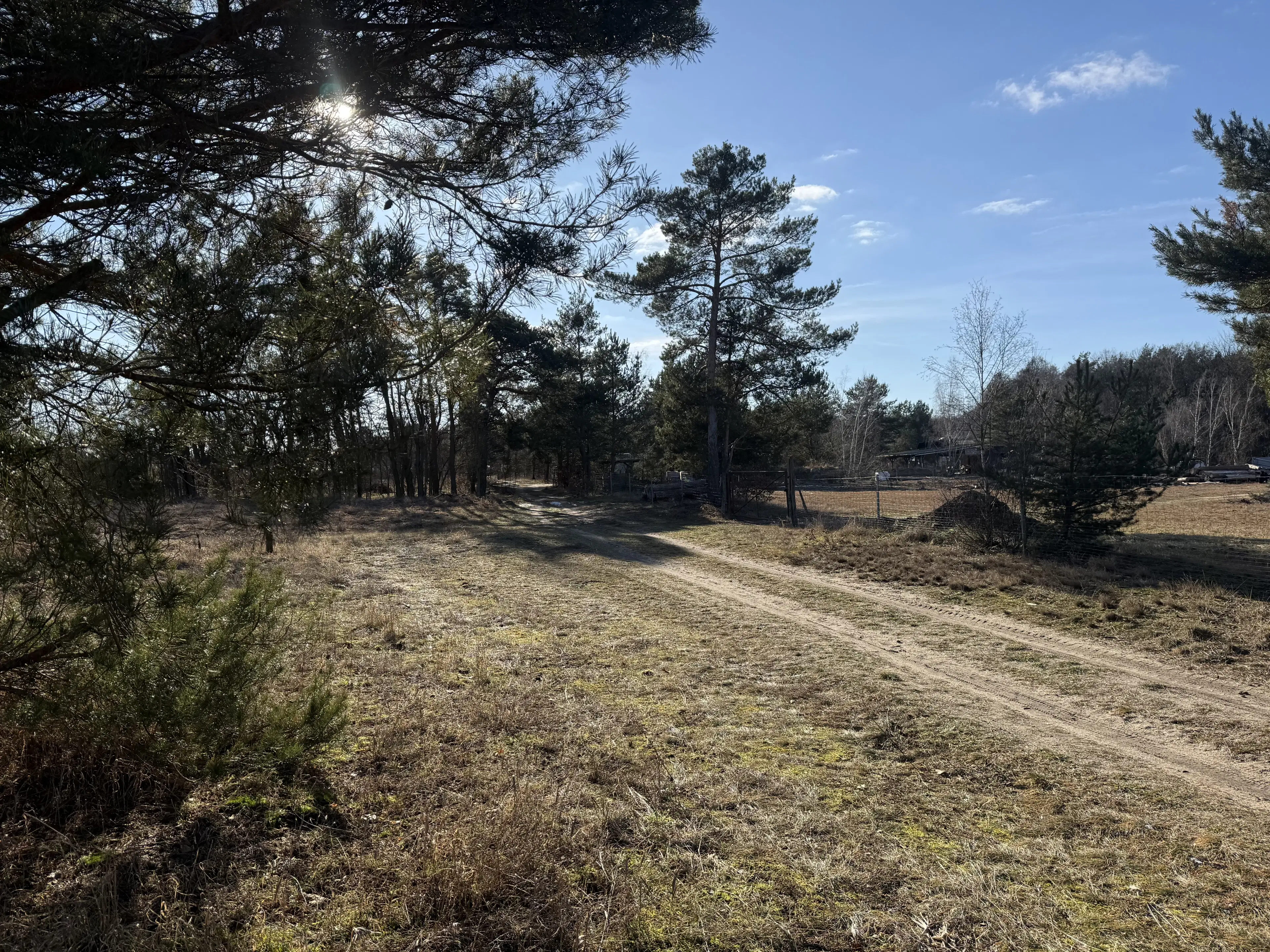 Terrein van ca. 1,75 ha naast natuurcamping Ragösen - Fläming - Duitsland