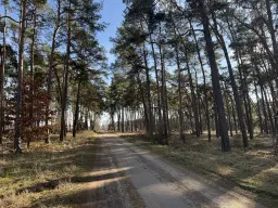 Terrein van ca. 1,75 ha naast natuurcamping Ragösen - Fläming - Duitsland