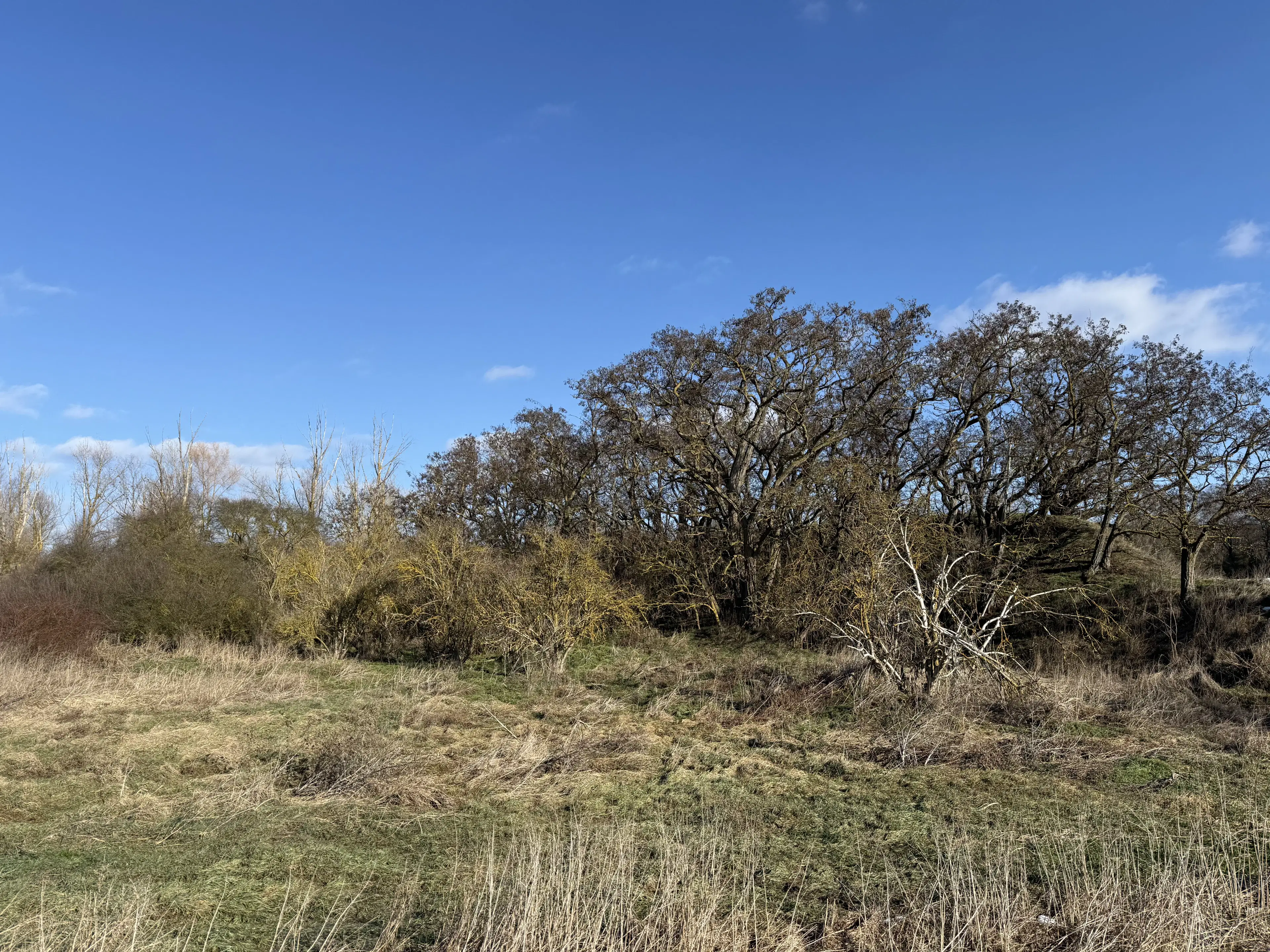 Eigendomsperceel van 1.120 m² in Emden - Duitsland