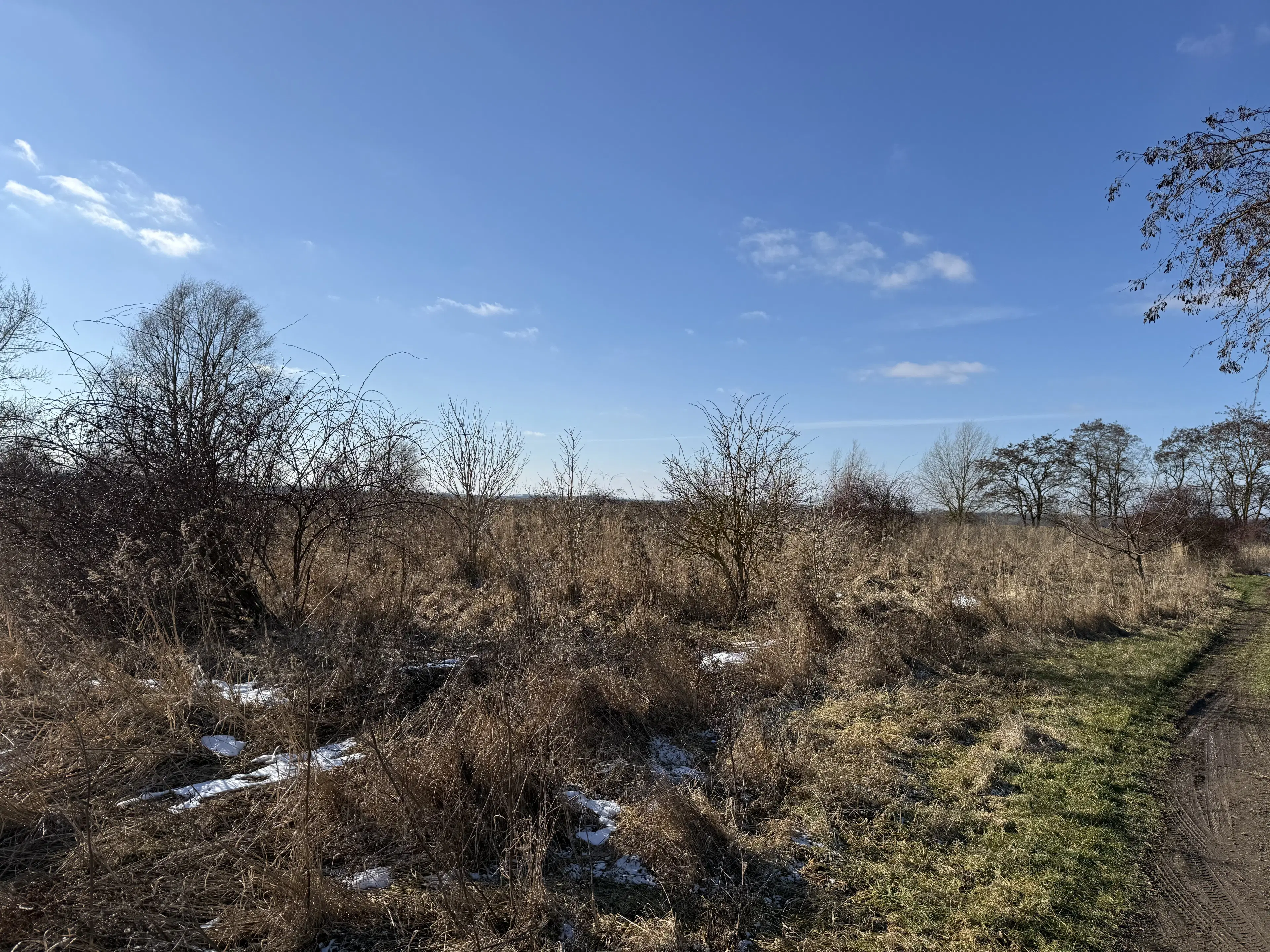 Eigendomsterrein van 7.234 m² in Emden - Duitsland