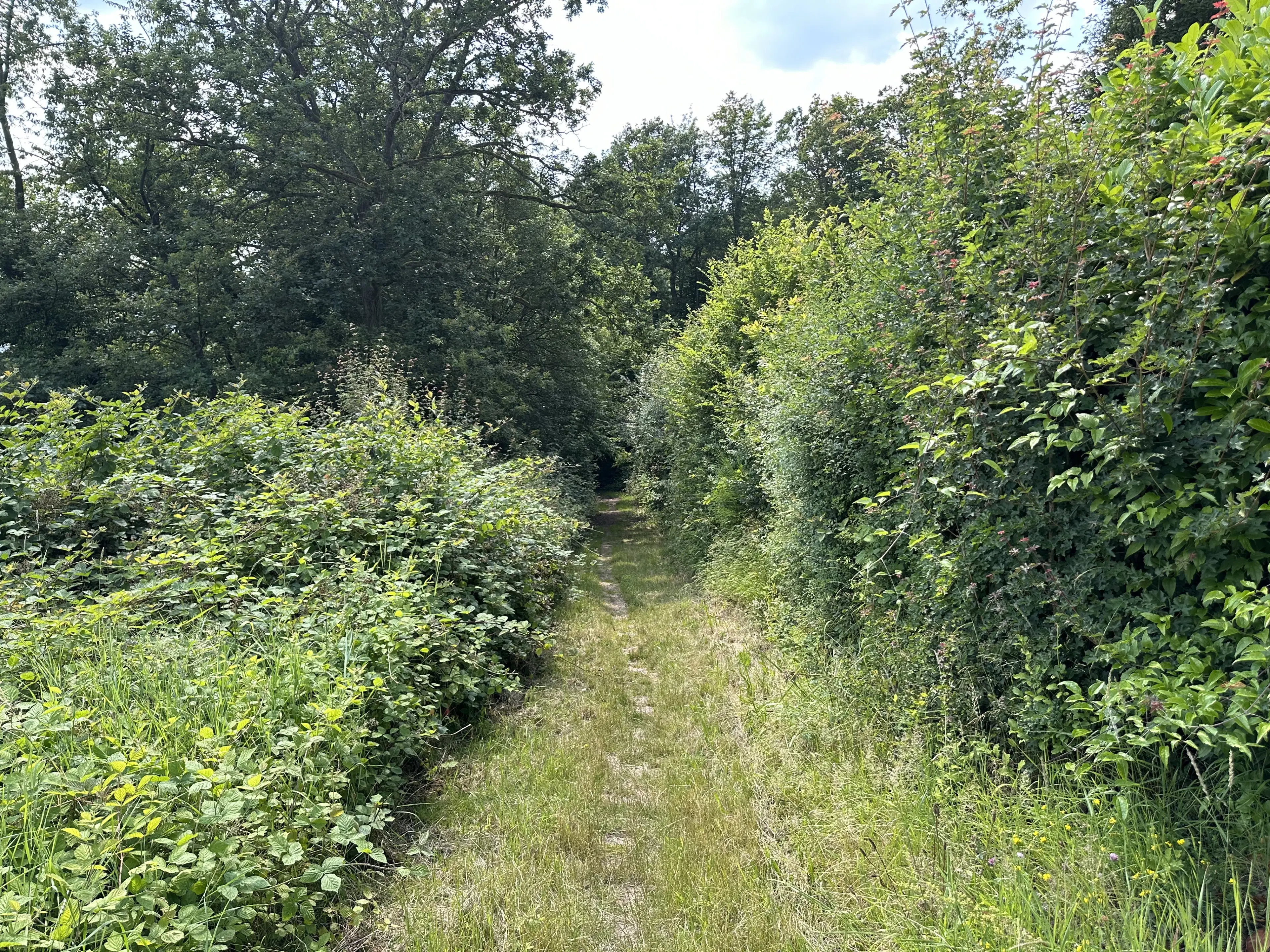 Totaal 604 m² op 3 percelen in Cochem - Duitsland