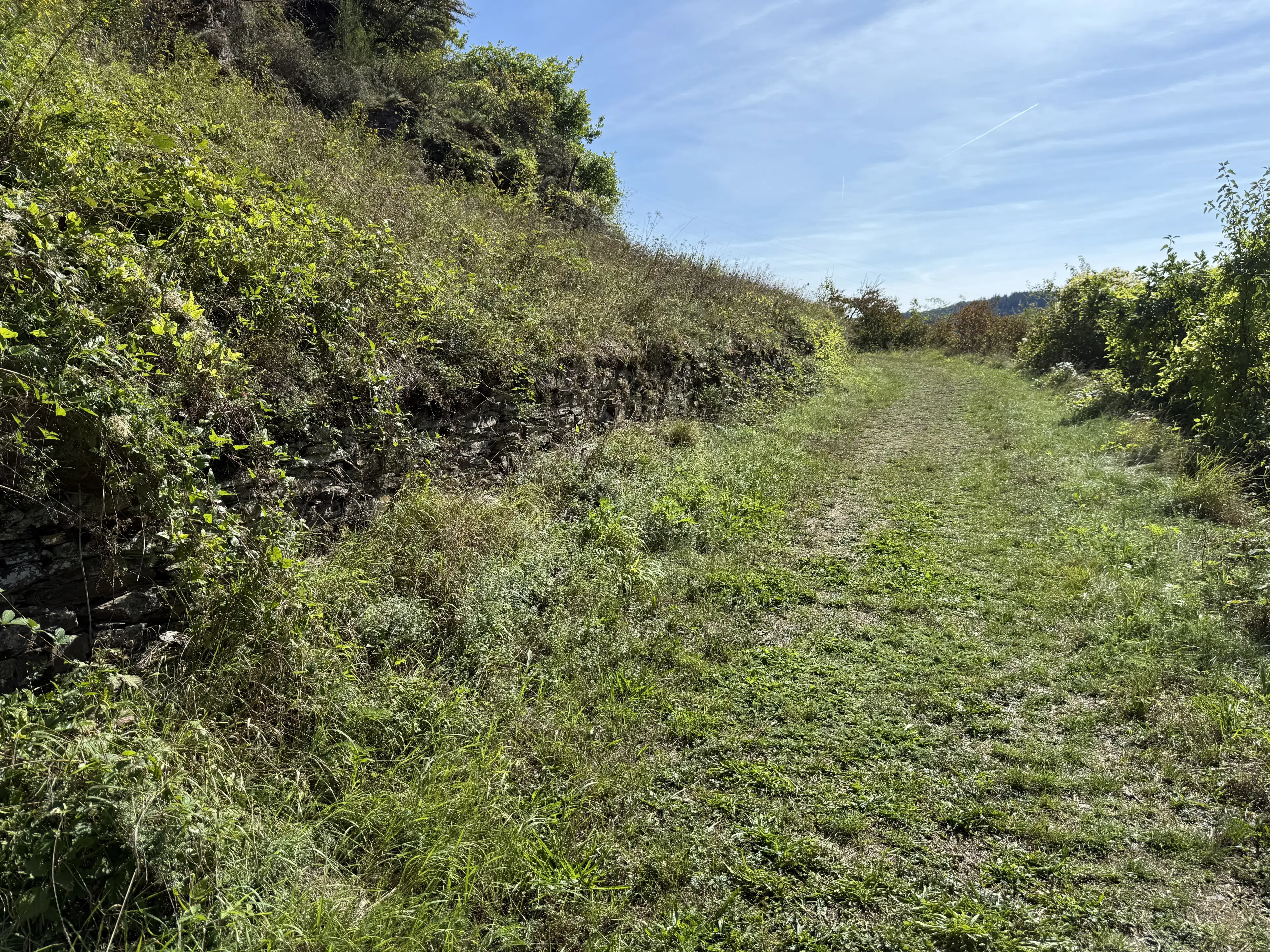 634 m² perceel met uitzicht over camping in Cochem - Duitsland