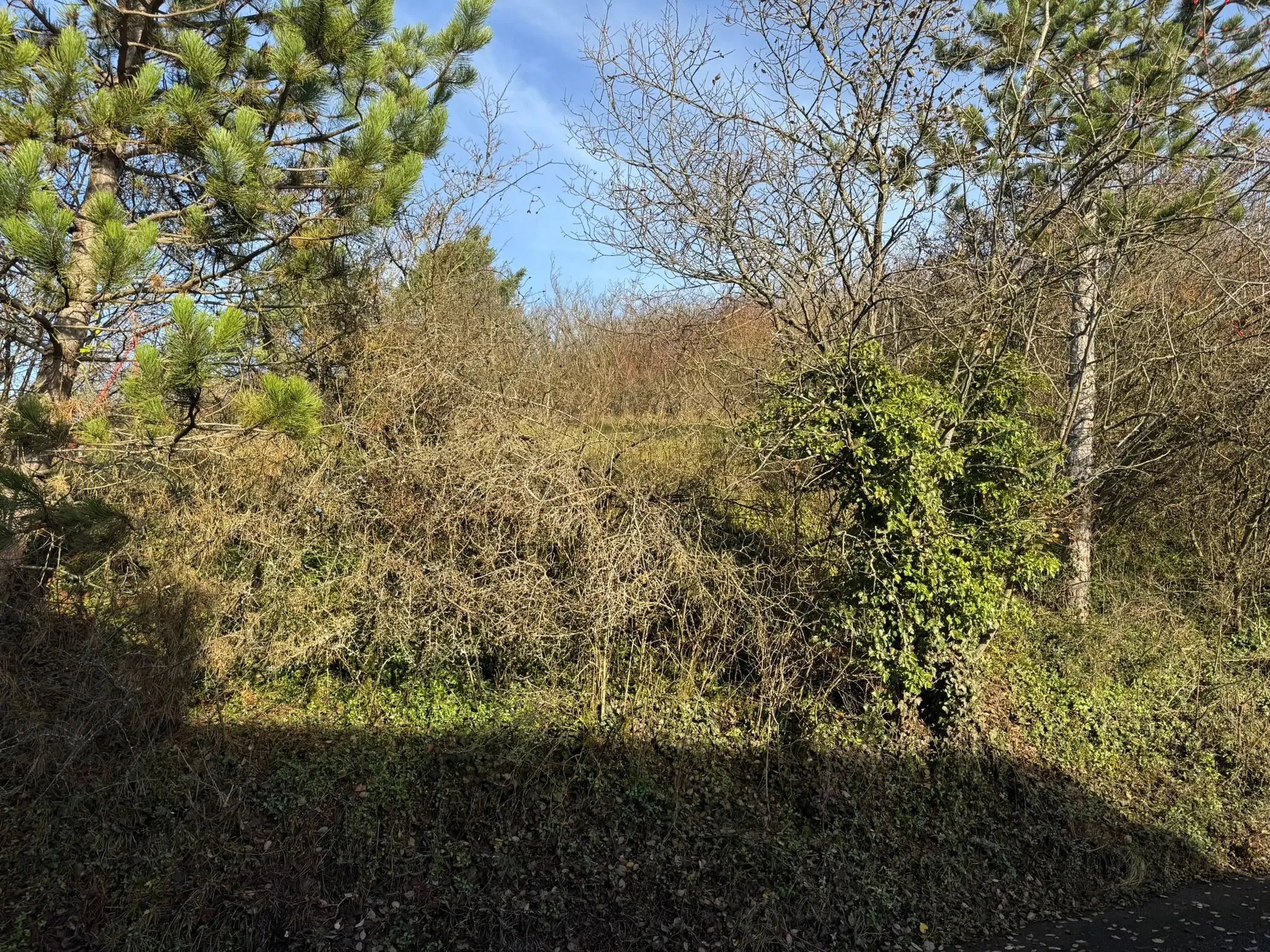 Bouwperceel 1.025 m² in Boxberg, Wölchingen - Duitsland