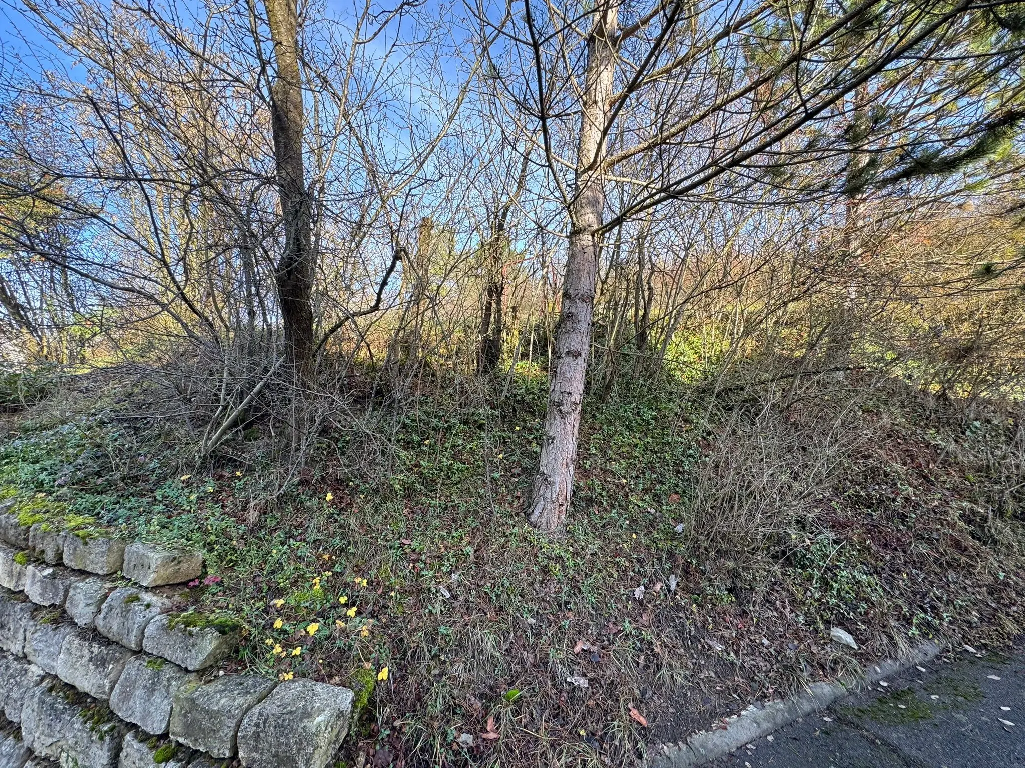 Bouwperceel 1.025 m² in Boxberg, Wölchingen - Duitsland