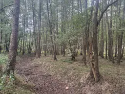 762 m² perceel bij het water nabij Bad Schmiedeberg - Duitsland