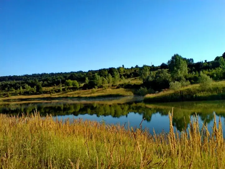 2.600 m² schilderachtig bosgebied nabij water in Poletkovsti, Vidin - Bulgarije