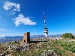 10.000 m² bosgrond in de regio Belogradchik - Bulgarije