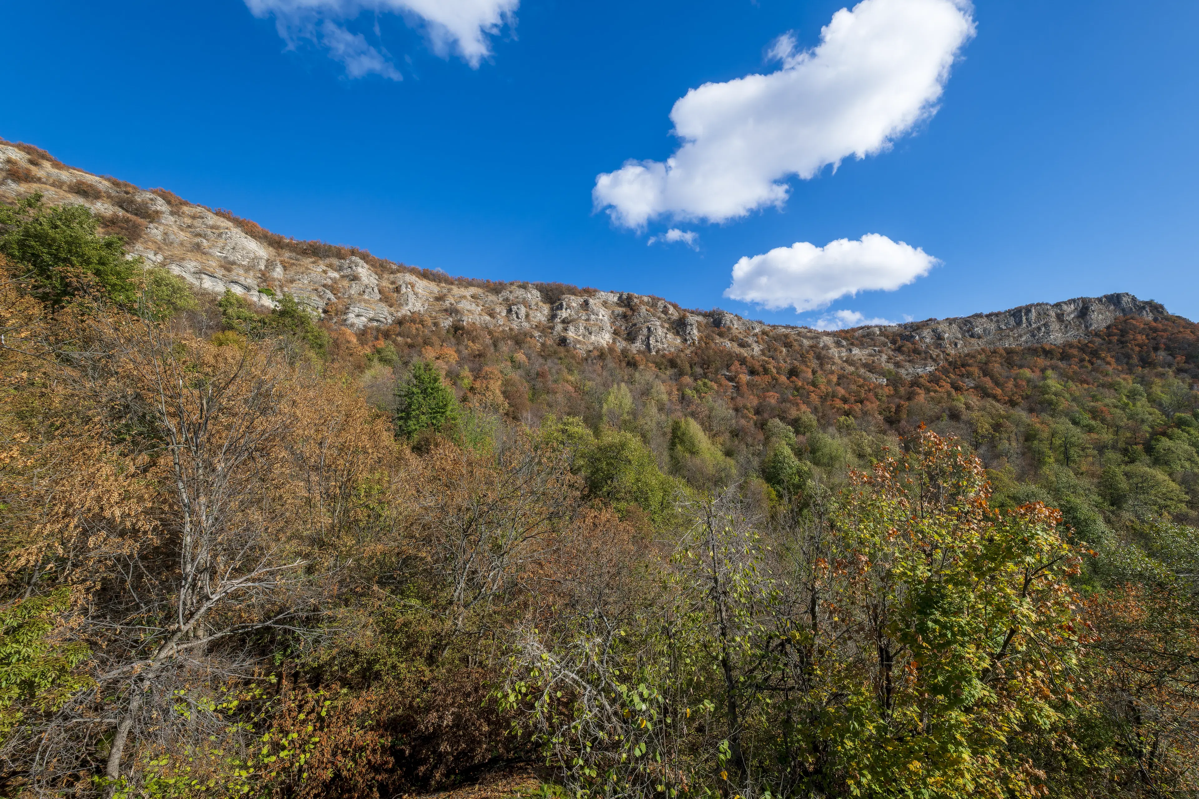 10.000 m² bosgrond in de regio Belogradchik - Bulgarije