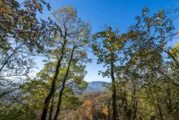 10.000 m² bosgrond in de regio Belogradchik - Bulgarije