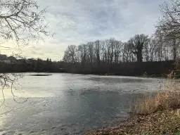 Woonhuis in Mansfeld nabij Leipzig - Duitsland
