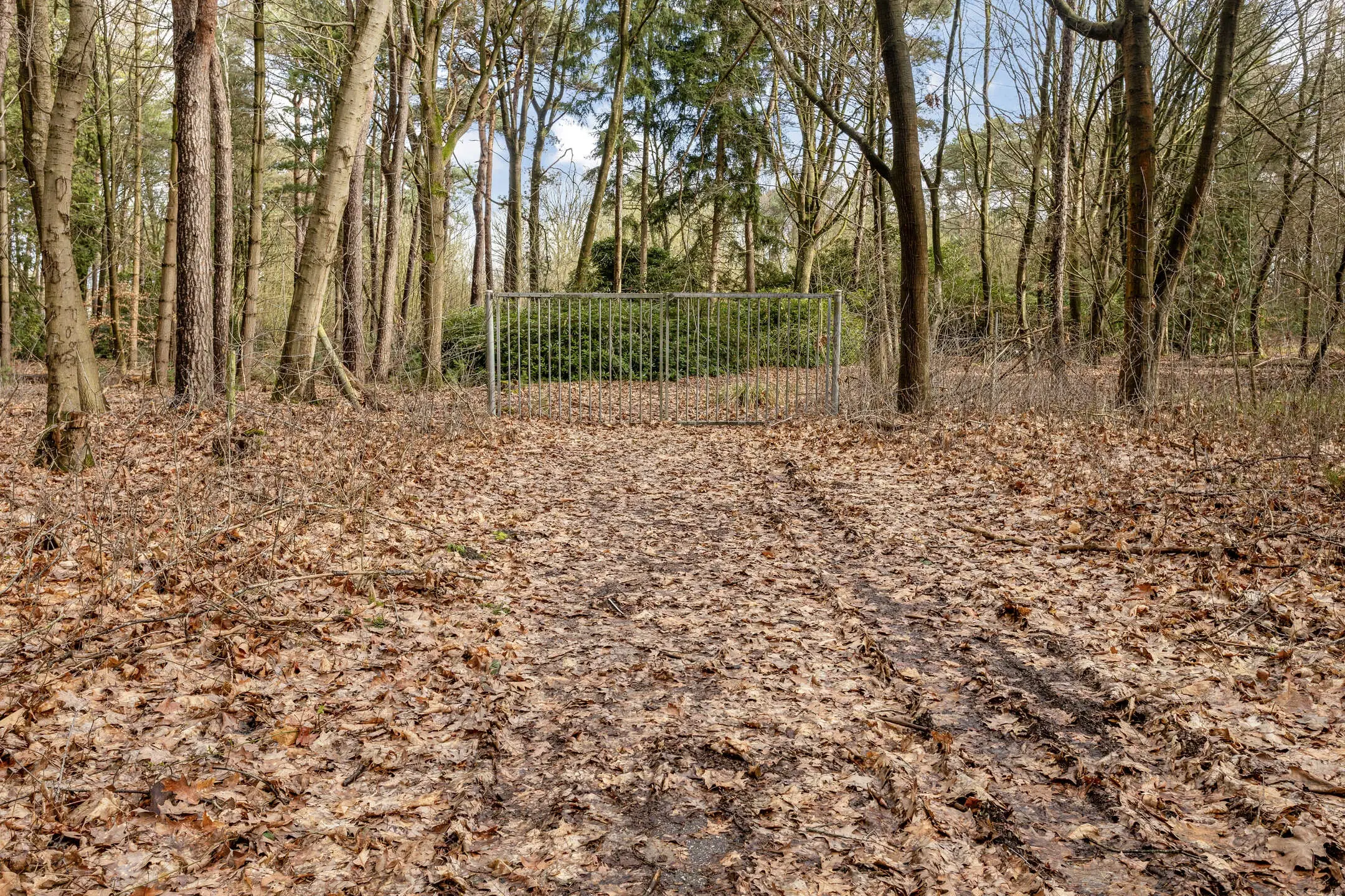 Duizel, Berkvenseweg 6