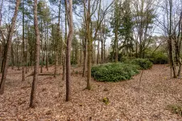 Duizel, Berkvenseweg 6