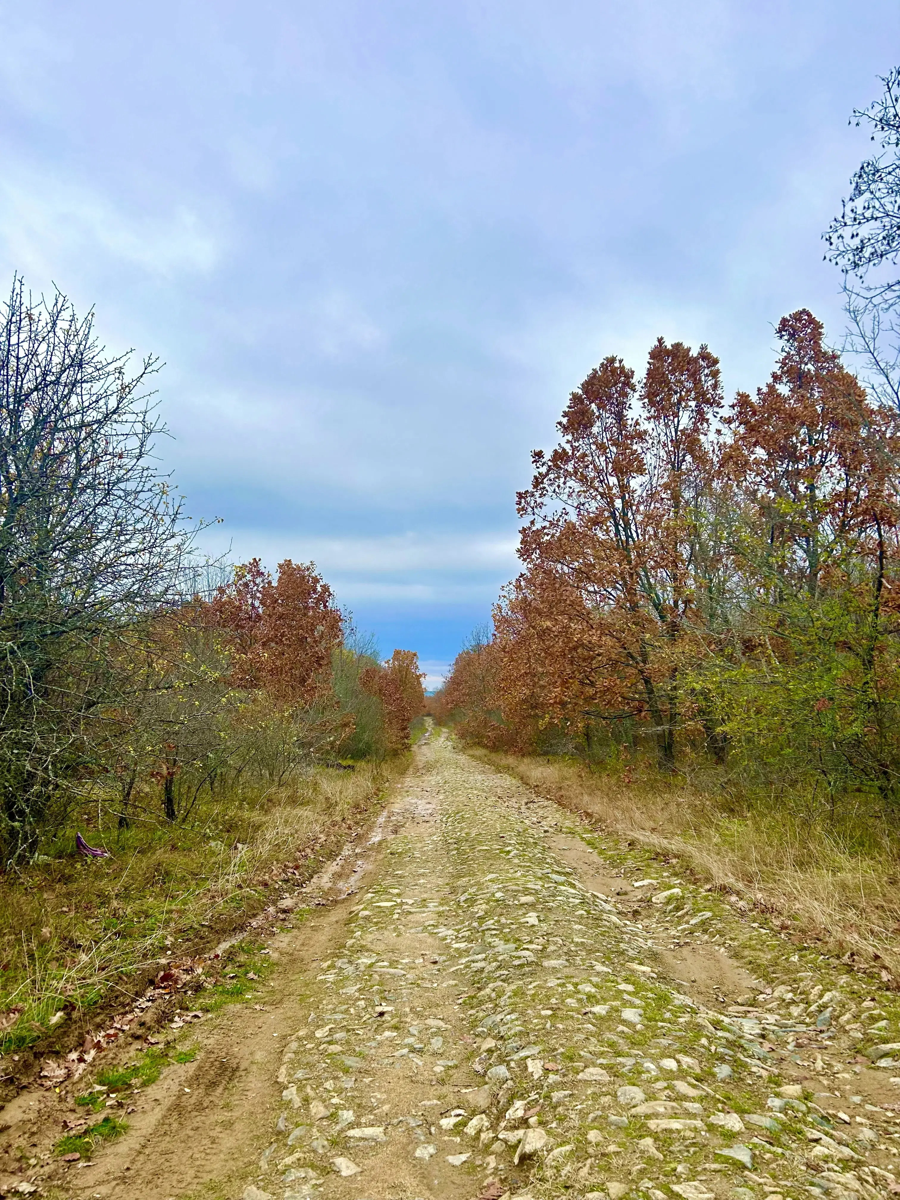 Bosgrond van 19.898 m² regio Burgas - Bulgarije