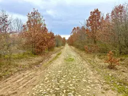 Bosgrond van 19.898 m² regio Burgas - Bulgarije