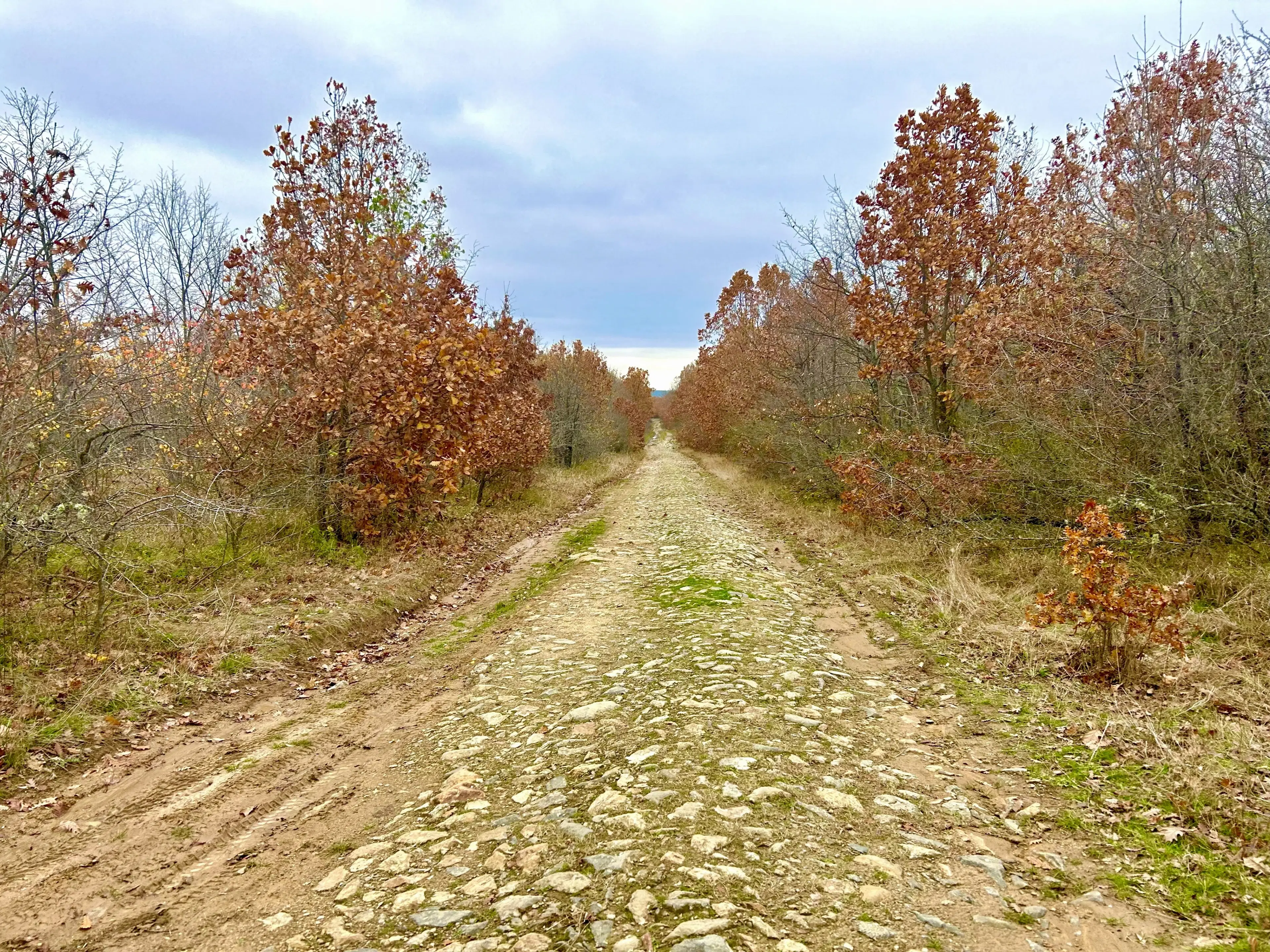 Bosgrond van 19.898 m² regio Burgas - Bulgarije