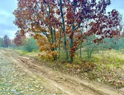 Bosgrond van 19.898 m² regio Burgas - Bulgarije