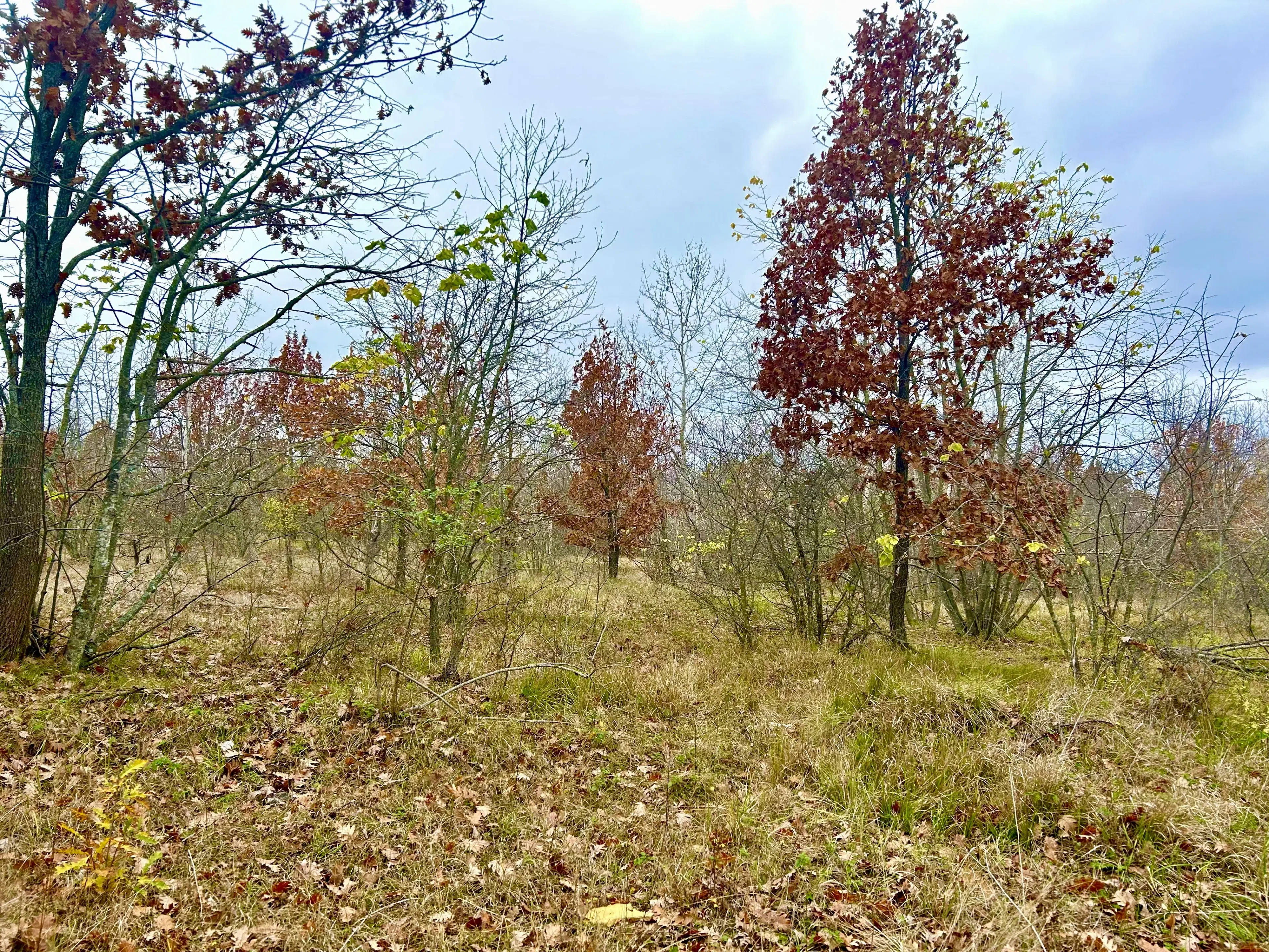 Bosgrond van 19.898 m² regio Burgas - Bulgarije