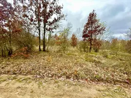 Bosgrond van 19.898 m² regio Burgas - Bulgarije