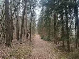 Beleggingsobject 9 appartementen op ca. 1.300 m² perceel in Gutenfürst - Duitsland