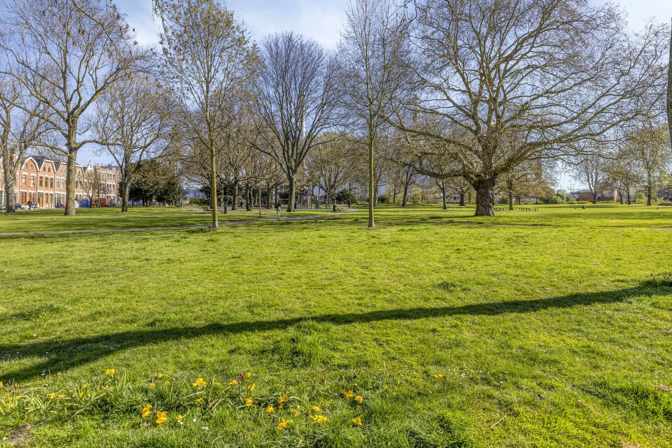 Rotterdam, Wolphaertsbocht 101